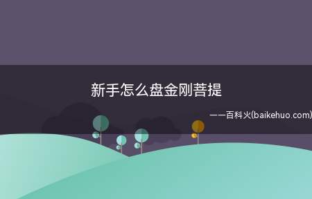新手怎么盘金刚菩提(新手盘玩金刚菩提的方法)
