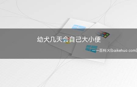 狗狗刚出生就会自己排大小便,但粪便量很少会被母犬舔清理掉