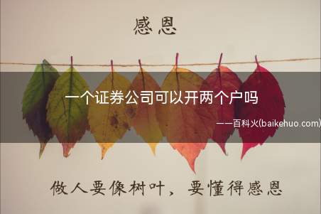 一个证券公司可以开两个户吗(一个证券账户可以开两个户吗)