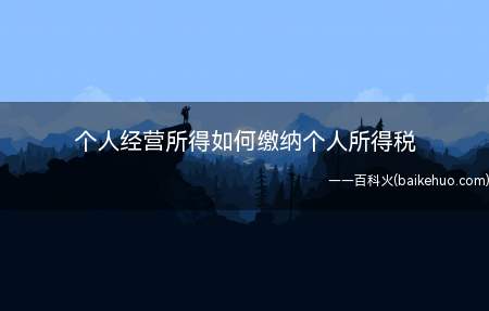 个人经营所得如何缴纳个人所得税(个人所得税的征税内容)