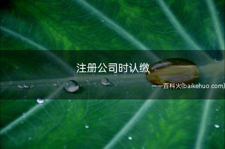 注册公司时认缴(公司注册资本认缴是允许自主约定)