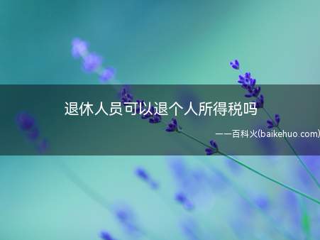 退休人员可以退个人所得税吗(退休人员不缴纳个人所得税)