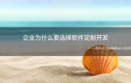 企业为什么要选择软件定制开发（定制开发的费用比较实惠）