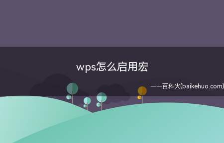 wps怎么启用宏(wps表格文档的使用方法)