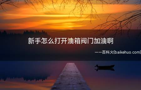 新手怎么打开油箱阀门加油啊(新手打开油箱阀门加油的方法)