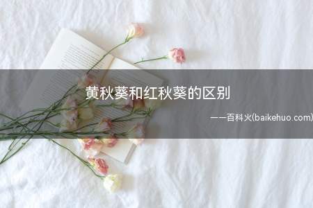 黄秋葵和红秋葵的区别（黄秋葵为一年生草本植物）