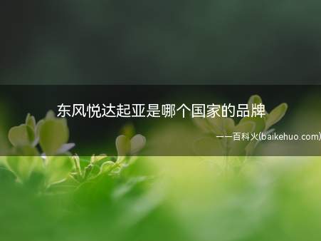 东风悦达起亚是哪个国家的品牌(东风悦达起亚汽车有限公司)