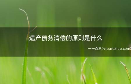 遗产债务清偿的原则是什么