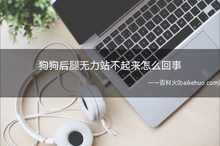 骨肉瘤、骨折、软组织挫伤等疾病需要接受对应的治疗方案
