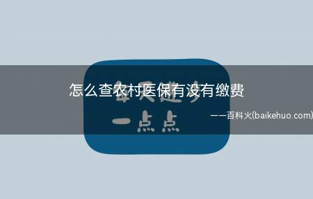 怎么查农村医保有没有缴费(可去当地社会保险经办机构查询)
