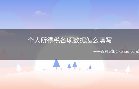 个人所得税各项数据怎么填写（自然人电子税务局客户端操作手册）