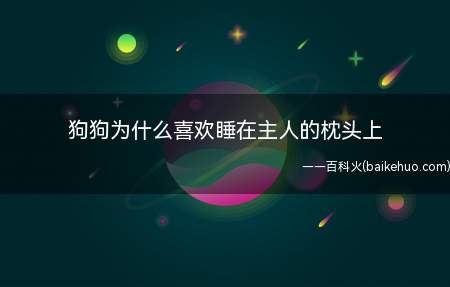 狗狗为什么喜欢睡在主人的枕头上(狗狗喜欢睡在主人的枕头上的原因有两种)