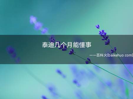 泰迪几个月能懂事(狗狗并不是到了一定的年龄突然懂事的)