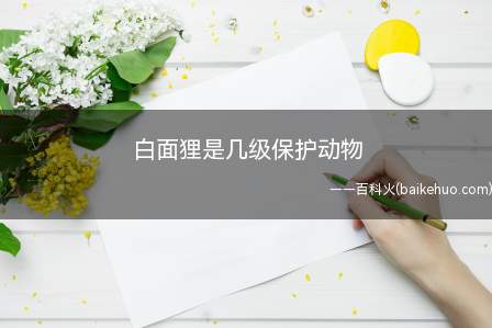 白面狸是几级保护动物(白面狸被列入中国生物多样性红色名录)