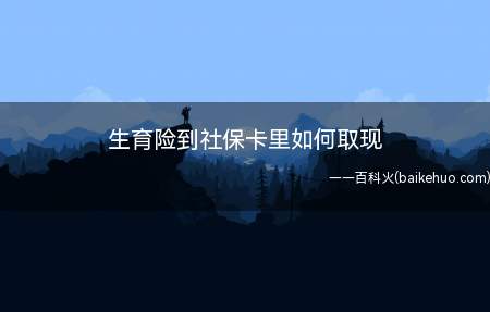 生育险到社保卡里如何取现(生育险的钱是打到社保卡上的,查账可以绑定支付宝)