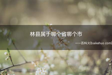 林县属于哪个省哪个市（林县属于河南省直辖,由安阳市代管）