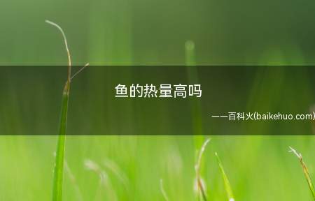 鱼的热量高吗