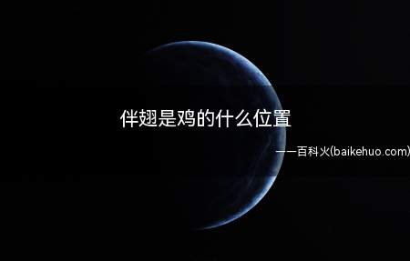 伴翅是鸡的什么位置