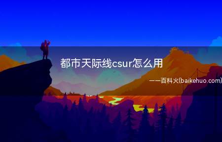 都市天际线csur怎么用(CSUR模块查找界面的注意事项)
