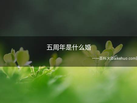 五周年是什么婚(木婚寓意:像木头一样坚硬、不易折断,婚姻关系已经坚韧起来)