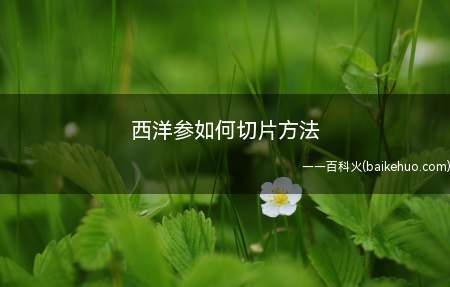 西洋参如何切片方法（西洋参有三种切片方法。）