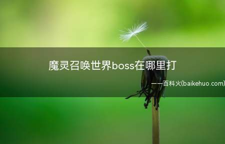 魔灵召唤世界boss在哪里打