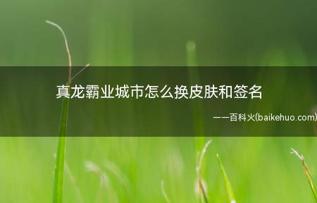 真龙霸业城市怎么换皮肤和签名(真龙霸业皮肤和个性签名方法)