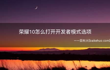 荣耀10怎么打开开发者模式选项