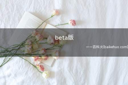 beta版(beta版本的意思如下)