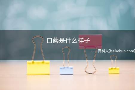 口蘑是什么样子(口蘑是一种口蘑科口蘑属的蘑菇,多为野生)