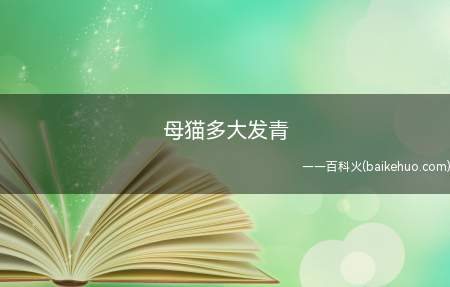 母猫多大发青（母猫通常在8个月左右会有第一次发情）