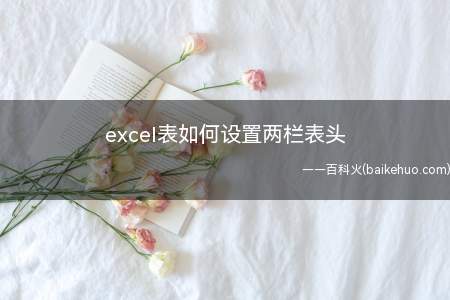 excel表如何设置两栏表头