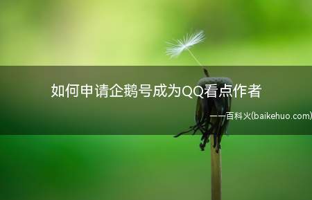 如何申请企鹅号成为QQ看点作者(如何申请企鹅号,成为QQ看点,天天快报作者呢)