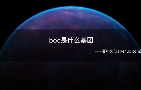 boc是什么基团(叔丁氧基(t)