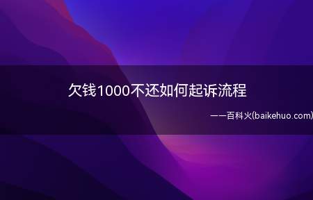 欠钱1000不还如何起诉流程(搜集证据,然后写好起诉书去对方所在地人民法院起诉)