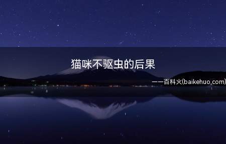 猫咪不驱虫的后果(主人不能忽视猫咪驱虫的重要性)