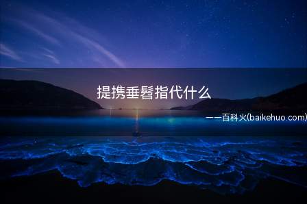 提携垂髫指代什么(“提携垂髫”借代小孩。)
