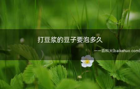 打豆浆的豆子要泡多久(打豆浆的豆子一般需要泡12个小时左右)