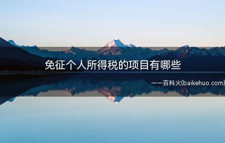 免征个人所得税的项目有哪些(免征个人所得税项目包括哪些)