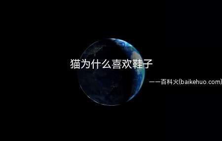 猫为什么喜欢鞋子(猫很喜欢被周围的物体包围起来,这样能让它产生安全感)