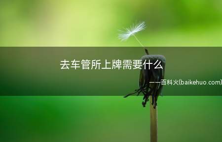 去车管所上牌需要什么(去车管所上牌需要材料:身份证、汽车合格证)