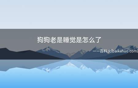 狗狗老是睡觉是怎么了