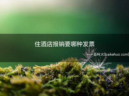 住酒店报销要哪种发票(增值税发票的区别是什么)