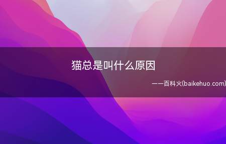 猫总是叫什么原因(猫咪总是叫有可能是到了发情期)