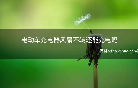 电动车充电器风扇不转还能充电吗(电动车充电器风扇不转不能充电)