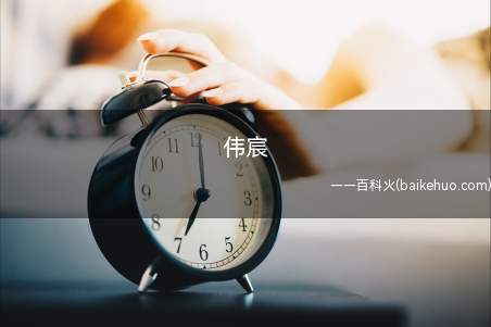 伟宸(伟宸不是词语,作为人名用字,取单字含义)