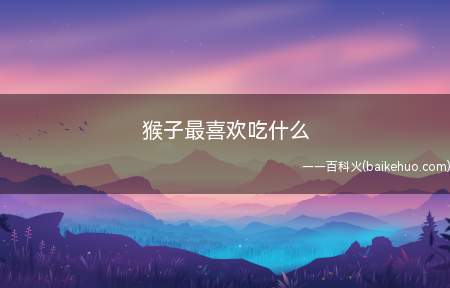 猴子最喜欢吃什么（猴子最喜欢吃桃、香蕉、苹果、西瓜、葡萄等水果）