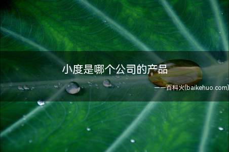 小度是哪个公司的产品(安卓6)