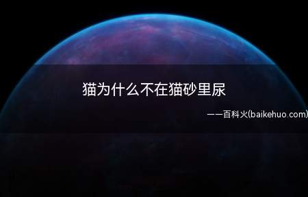 猫为什么不在猫砂里尿(猫咪是很敏感的动物,不在猫砂里尿尿可能是受到多方面的刺激)