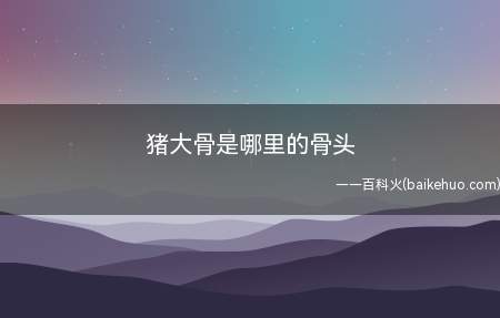 猪大骨是哪里的骨头